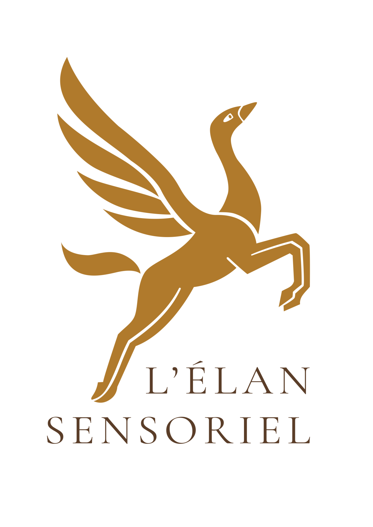 L'Élan Sensoriel®